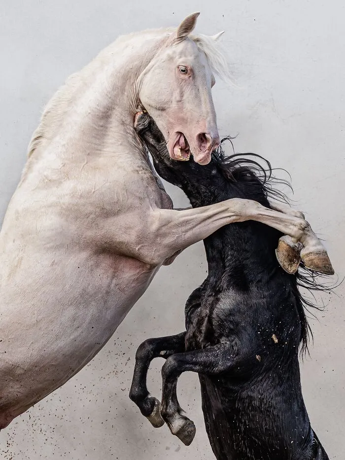 The Hug By  Aga Karmol