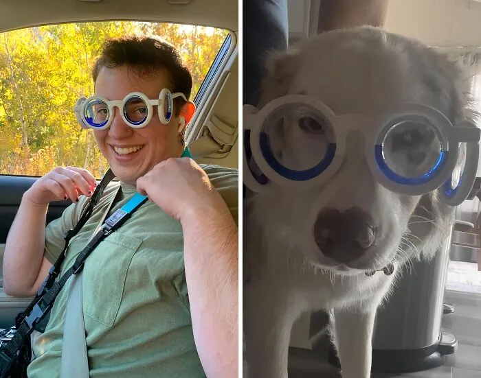 Road Trip Warriors, Rejoice!  These   <a Style="Display:inline;" Href="Https://Www.amazon.com/Sickness-Glasses-Carsickness-Airsickness-Seasickness/Dp/B0c5qg2cvl?pd_rd_w=dknca&content-ID=amzn1.sym.b46dbd4a-7901-4e61-86dc-9876286ea9f3&pf_rd_p=b46dbd4a-7901-4e61-86dc-9876286ea9f3&pf_rd_r=99a23t3hp91r71knrmsq&pd_rd_wg=wbalb&pd_rd_r=d8f4a200-526d-4cc9-Aafe-F5cf9f58a520&pd_rd_i=b0c5qg2cvl&th=1&linkcode=ll1&tag=bpibis-20&linkid=8e224a871b8f7ebcd8ca061159ba8033&language=en_us&ref_=as_li_ss_tl " Target="_blank"><span Style="Font: Inherit; Color: #d74b1f;"> Motion Sickness Glasses</Span> Are So Popular, Even Your Car Is Jealous