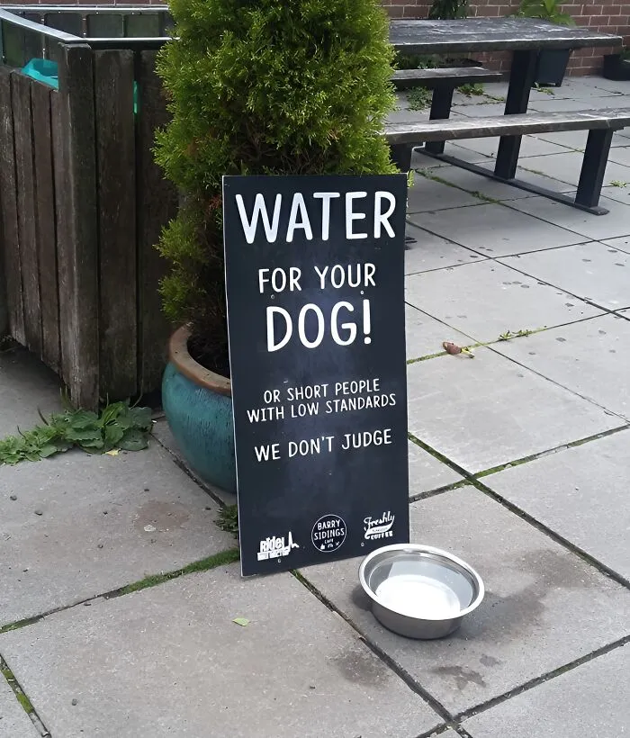 “We’re Tired Of Hiding The Bodies”: 50 Unexpected Signs That Made People Go ‘What?’