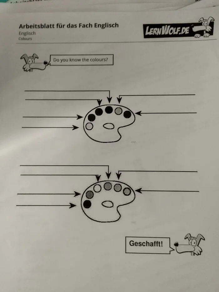 Found That In My School