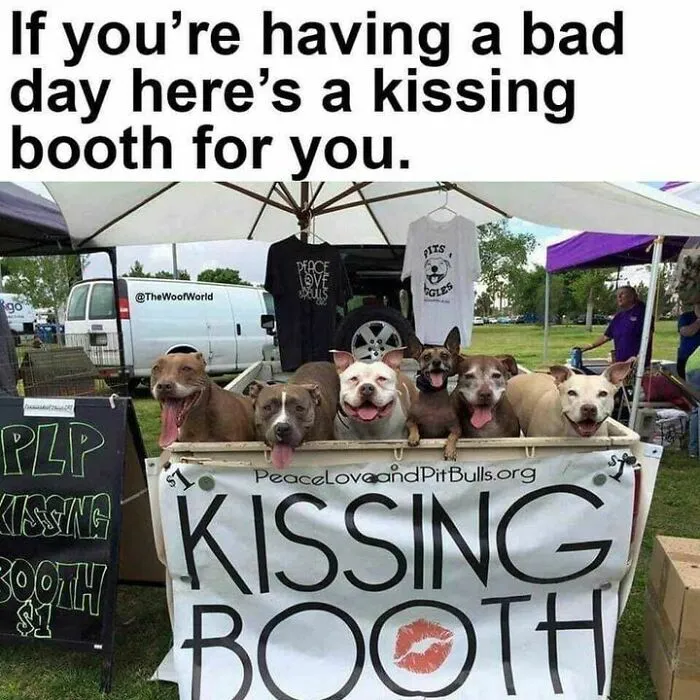 50 Memes That Dog Owners May Find Funny And Relatable