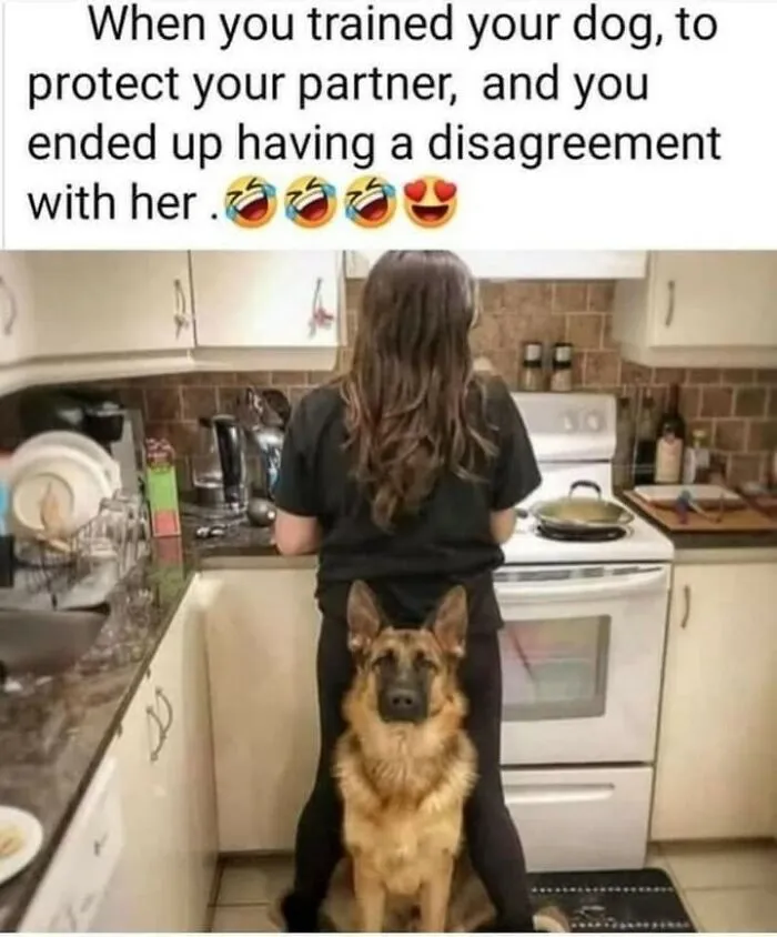 50 Memes That Dog Owners May Find Funny And Relatable