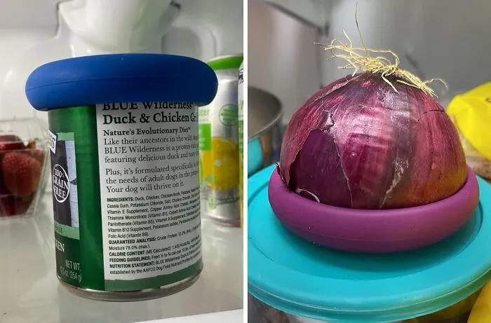 Half An Avocado Looking Lonely? These <a Style="Display:inline;" Href="Https://Www.amazon.com/Food-Huggers-Reusable-Savers-Dishwasher/Dp/B09bwvwpdq?ie=utf8&th=1&linkcode=ll1&tag=bpcrocodile-20&linkid=549a5737944cbfe270e84b93b102b68d&language=en_us&ref_=as_li_ss_tl" Target="_blank"><span Style="Font: Inherit; Color: #d74b1f;"> Food Huggers</Span> Will Give It A Cuddle And Keep It Fresh Until It Can Join It's Other Half