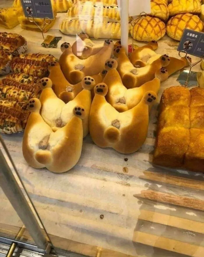 Shiba-Inu Butt Bread In Japan