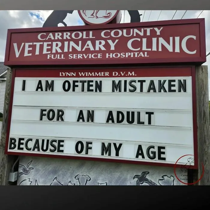 No Fleas, Just Jokes: 40 Signs That Had Tails Wagging (New Pics)