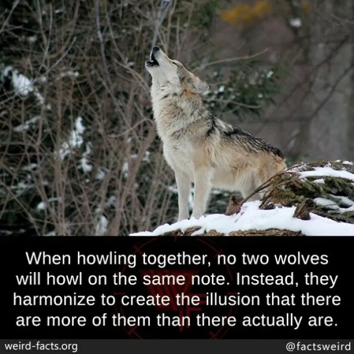 50 Facts So Fascinating They’ll Stick In Your Brain All Week