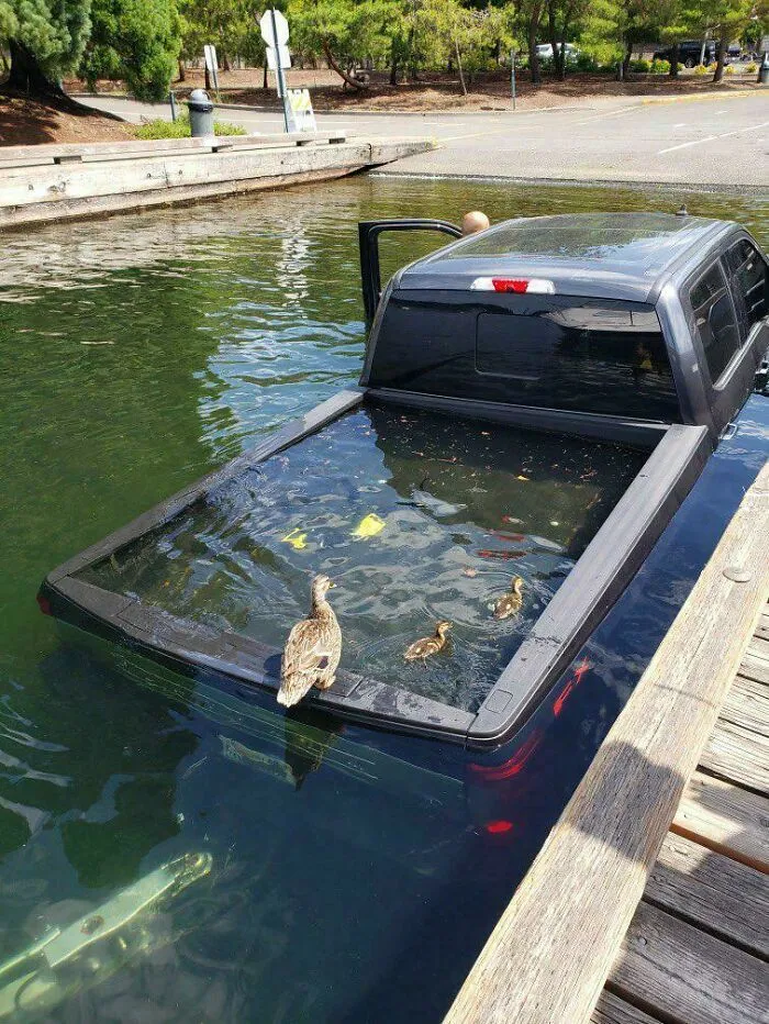 F150 In The Lake