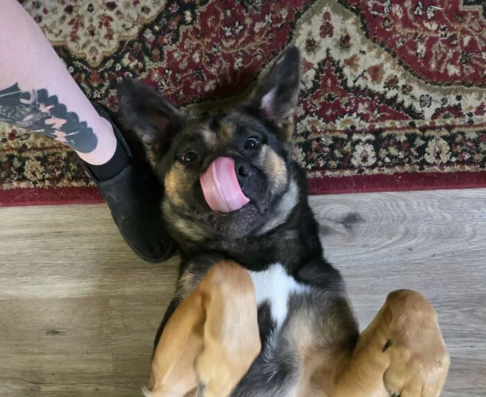 Rescued Her Yesterday