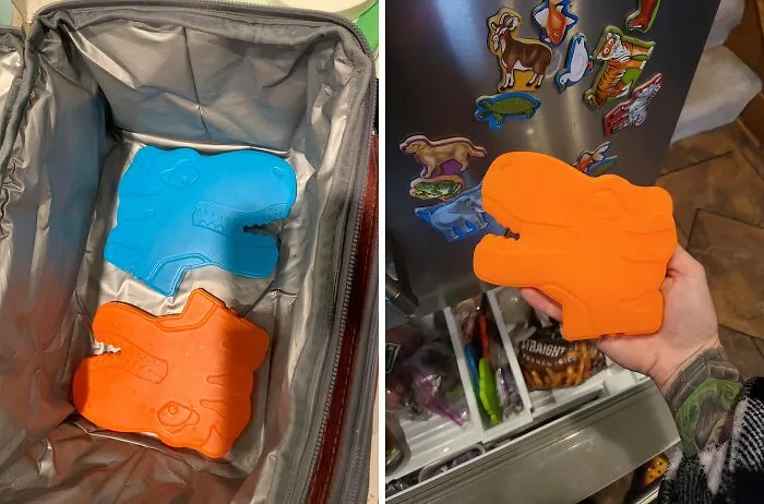  <a Style="Display:inline;" Href="Https://Www.amazon.com/Bentgo-Buddies-Reusable-Ice-Packs/Dp/B08fnw7qdb?pd_rd_w=pkmci&content-ID=amzn1.sym.7379aab7-0dd8-4729-B0b5-2074f1cb413d&pf_rd_p=7379aab7-0dd8-4729-B0b5-2074f1cb413d&pf_rd_r=tvxxz3xhswnfj2wdnd8j&pd_rd_wg=n5xzh&pd_rd_r=bcdb1c45-F917-4543-89ed-B9e863f14929&pd_rd_i=b08fp1spp2&th=1&linkcode=ll1&tag=bpowl-20&linkid=359b09fda36fb6df936bbcab9acd3c5d&language=en_us&ref_=as_li_ss_tl" Target="_blank"><span Style="Font: Inherit; Color: #d74b1f;"> Slim Ice Packs</Span> Are Reusable And Eco-Friendly, So You Can Feel Good About Packing Your Lunch