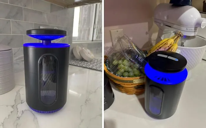 Tired Of Swatting At Those Pesky Bugs? Let This   <a Style="Display:inline;" Href="Https://Www.amazon.com/Fruit-Fly-Traps-Indoors-Home/Dp/B0d2r8k9h6?pd_rd_w=otlwm&content-ID=amzn1.sym.7379aab7-0dd8-4729-B0b5-2074f1cb413d&pf_rd_p=7379aab7-0dd8-4729-B0b5-2074f1cb413d&pf_rd_r=227t9e9ycw998gq0kcb3&pd_rd_wg=cwmwv&pd_rd_r=f5a39d1f-4360-4b47-84f5-4e91ea3db51b&pd_rd_i=b0d2r8k9h6&th=1&linkcode=ll1&tag=bpowl-20&linkid=debaece97855152a6393bb2141abb25f&language=en_us&ref_=as_li_ss_tl" Target="_blank"><span Style="Font: Inherit; Color: #d74b1f;"> Indoor Zapper</Span> Do The Dirty Work For You!