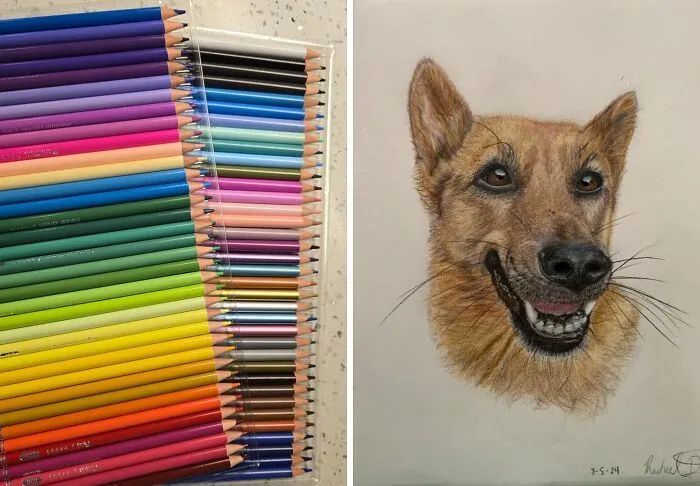 Forget Those Waxy Childhood Pencils! These <a Style="Display:inline;" Href="Https://Www.amazon.com/Kalour-Colored-Coloring-Blending-Beginners/Dp/B0bhygm2xg?crid=y8bykfpfz7yw&dib=eyj2ijoimsj9.1slluni0bwfscgrgyoiusqdhzvfxcp5jfvx0uvcgttifewelxirguxfoox4fl3eotspwkwyibddcnkfw2-Qtc881b9iwfclkr-G2arsxa2wsdjx_gos_ql9ybezc9pkbv3cmut1ep3eszfqy92qa788vs2i6bwpncra87bsesk91mpn9ddwxamlwyfsm_mj31feyzbm2zc0jh47c3dmezvnzoiuktulv82fullvypbe-Arqyi8wr8jrhjxcuagzvgp6smr_m8el9nhvye1mttkklxnmea71fcgfh4zk5mos.wbeivyvlv2k4-_sc5nozyvfutstxhmd7nmckcrs2xcg&dib_tag=se&keywords=art%2bsupplies&qid=1727157628&sprefix=art%2bsupplie%2caps%2c344&sr=8-36&th=1&linkcode=ll1&tag=bplemur-20&linkid=cbf0e4e24160c35387d227691f5e83f4&language=en_us&ref_=as_li_ss_tl" Target="_blank"><span Style="Font: Inherit; Color: #d74b1f;"> Soft Core Colored Pencils</Span> Are The Grown-Up Upgrade Your Coloring Book Deserves