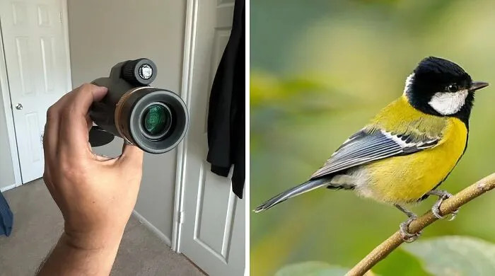 Birdwatching Just Got A Whole Lot More Exciting.  This   <a Style="Display:inline;" Href="Https://Www.amazon.com/Monocular-Telescope-Smartphone-Monoculars-Suitable/Dp/B0chymddy9?pd_rd_w=7zdm6&content-ID=amzn1.sym.7379aab7-0dd8-4729-B0b5-2074f1cb413d&pf_rd_p=7379aab7-0dd8-4729-B0b5-2074f1cb413d&pf_rd_r=ym21hzevdyz6rzeasg55&pd_rd_wg=yadlx&pd_rd_r=2b9ab65d-Fa56-4d88-861a-8239bc22c680&pd_rd_i=b0dfw4d3hc&th=1&linkcode=ll1&tag=bpowl-20&linkid=99fd2a518432e5627ad6e40337522a0e&language=en_us&ref_=as_li_ss_tl" Target="_blank"><span Style="Font: Inherit; Color: #d74b1f;"> High Power Monocular Telescope</Span> Will Bring Those Feathered Friends Up Close And Personal, Without Scaring Them Away