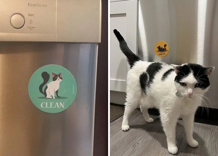 Dishwasher Confusion Got You Feeling Like A Cat Chasing Its Tail? This <a Style="Display:inline;" Href="Https://Www.amazon.com/Large-Dishwasher-Magnet-Clean-Dirty/Dp/B07qyp6465?crid=1tz619ciu3r5b&dib=eyj2ijoimsj9.ukeiwimcjeg6b-4axyb489xqtzbhlabsoykb1u3dcmuebtm0rnxyzlsugj46aealqhtt7tt7rk4x27x8ycb2eppngwdocwr1mrmlv886h3gjwif0_jrnocvw16ru8ii65gyyxdtgqnyn1shnouqohqmi-Syrvtvibtpyg3lr5iuwofhdbbfqy7q0fqp-8suaotgn9r2i4463epb05vg_tsasqhf3-M-Mfw5cpyy9-F52atlytdponw6ypdpx2oafg72yop2ikvrfher8emcvzi76btgowb45sywjvzsnil4.1kethuii2aejr_rgrxzwvufcvw87zp68qp3ggbvn_li&dib_tag=se&keywords=coolest%2bkitchen%2bitems&qid=1727178978&sprefix=coolest%2bkitchen%2bitem%2caps%2c218&sr=8-85&th=1&linkcode=ll1&tag=bpant-20&linkid=b0c11b3d52fe28e9a60fb2c84939367e&language=en_us&ref_=as_li_ss_tl" Target="_blank"><span Style="Font: Inherit; Color: #d74b1f;"> Clean/Dirty Dishwasher Magnet</Span> Will Clear Things Up In A Snap