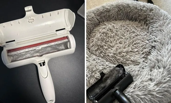 <a Style="Display:inline;" Href="Https://Www.amazon.com/Pet-Dog-Cat-Hair-Remover-Couch/Dp/B00bagtnaq?ie=utf8&th=1&linkcode=ll1&tag=bpseahorse-20&linkid=3fa1c3b18123576163638c21bd36ae99&language=en_us&ref_=as_li_ss_tl" Target="_blank"><span Style="Font: Inherit; Color: #d74b1f;"> Chom Chom Roller</Span> - Fur-Ever Free Of Pet Hair! This Reusable Roller Will Have Your Furniture, Clothes, And Sanity Looking Fur-Bulous