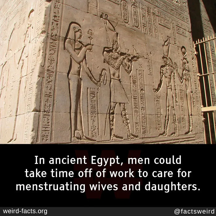 50 Facts So Fascinating They’ll Stick In Your Brain All Week