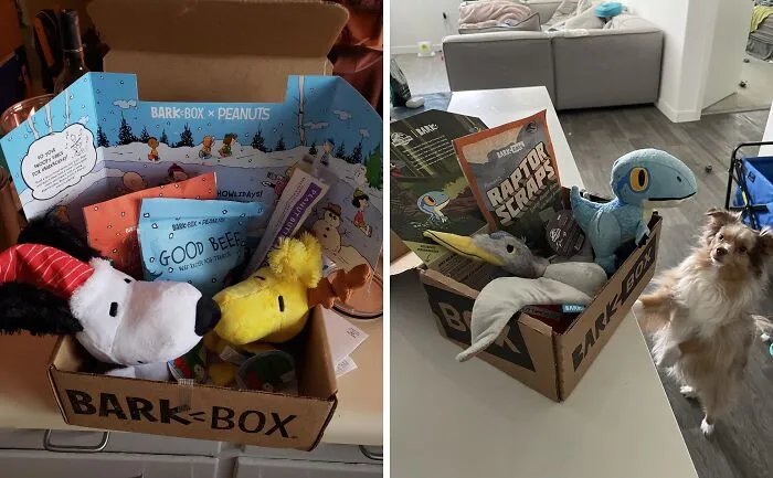 Your Dog's About To Be More Excited Than A Squirrel At A Nut Factory! The   <a Style="Display:inline;" Href="Https://Www.amazon.com/Barkbox-Subscription-Treats-Every-Month/Dp/B07r7wvrgl?_encoding=utf8&pf_rd_m=atvpdkikx0der&pf_rd_s=merchandised-Search-10&pf_rd_r=xa8126pqmx2c8vp2t6mg&pf_rd_p=76d88b8f-A63e-464b-B10e-836d5cacae03&pf_rd_t=&pf_rd_i=14498690011&th=1&linkcode=ll1&tag=bpwasp-20&linkid=752cd5a8a824aa6b1639174211aa0761&language=en_us&ref_=as_li_ss_tl" Target="_blank"><span Style="Font: Inherit; Color: #d74b1f;"> Barkbox</Span> Is Packed With Goodies For Your Goodest Boy Or Girl
