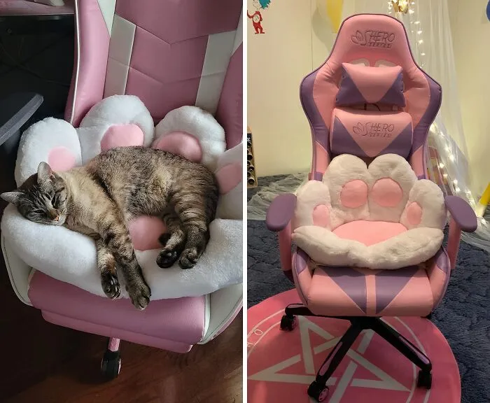 Upgrade Your Gaming Chair To A Throne Of Cuteness! This <a Style="Display:inline;" Href="Https://Www.amazon.com/Cushion-Pillow-Bedroom-Comfort-Building/Dp/B09bzp6wc7?_encoding=utf8&pd_rd_w=jy3jt&content-ID=amzn1.sym.3c3990c3-513c-4686-8d92-A42b4095cecb%3aamzn1.symc.8b620bc3-61d8-46b3-Abd9-110539785634&pf_rd_p=3c3990c3-513c-4686-8d92-A42b4095cecb&pf_rd_r=v1sdr49fe4w6pvn56eww&pd_rd_wg=lpuh6&pd_rd_r=b260e1dd-5d04-4c96-A1df-23c90ebcd352&th=1&linkcode=ll1&tag=bparmadillo-20&linkid=4ec75905d816b5f6ca0b4e282da5d79a&language=en_us&ref_=as_li_ss_tl" Target="_blank"><span Style="Font: Inherit; Color: #d74b1f;"> Cat Paw Cushion</Span> Will Have You Feeling Like Royalty (Or At Least A Very Pampered Feline)
