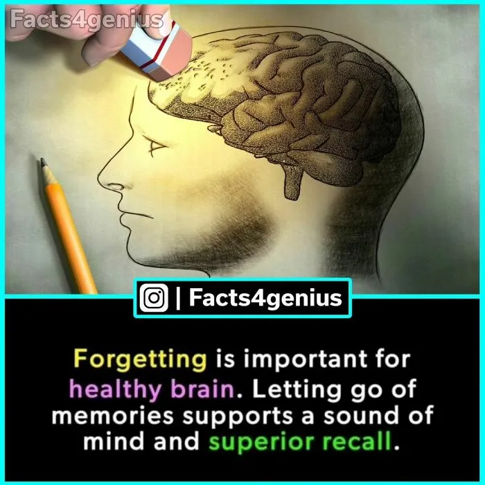 50 Posts From “Facts For Genius” That Might Teach You Something New (New Pics)