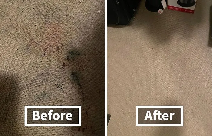 Red Wine Spills Got Your Carpet Looking Like A Crime Scene? Fear Not! This   <a Style="Display:inline;" Href="Https://Www.amazon.com/Folex-Carpet-Spot-Remover-32/Dp/B001b0v5gg?ie=utf8&linkcode=ll1&tag=bpzebra-20&linkid=8ddfbbc042ed804ef93e5777d451bcd1&language=en_us&ref_=as_li_ss_tl" Target="_blank"><span Style="Font: Inherit; Color: #d74b1f;"> Folex Carpet Spot Remover</Span> Will Make That Stain Disappear Faster Than You Got Them There