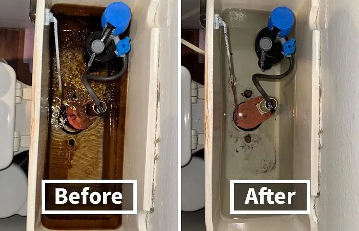 This   <a Style="Display:inline;" Href="Https://Www.amazon.com/Instant-Power-1806-Toilet-Cleaner/Dp/B00ch1e9l6?ie=utf8&linkcode=ll1&tag=bpzebra-20&linkid=46ea0ee98da2e91fa582acc5f32c07ad&language=en_us&ref_=as_li_ss_tl" Target="_blank"><span Style="Font: Inherit; Color: #d74b1f;"> Instant Power Toilet Tank Cleaner</Span> Will Have Your Toilet Tank Sparkling Like A Hidden Gem, So You Can Finally Stop Pretending You Don't Know What's Lurking Beneath The Lid