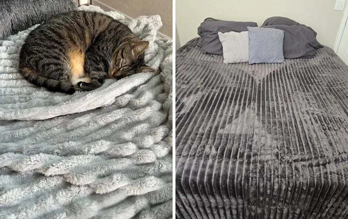 Netflix And Chill Just Got A Whole Lot Cozier! This   <a Style="Display:inline;" Href="Https://Www.amazon.com/Bedsure-White-Fleece-Throw-Blanket/Dp/B0bplb81lx?crid=2cqcffsy1l8hh&dib=eyj2ijoimsj9.jlsu5g8iijr8hpe7preci2am2ktotaqbva0ch6mexjeg-Hqmbncjawtj1bb4c6e8xy0avy9ba5sbwbaprlzhp2bi9ssugvg1moj6cyqikh3syn5qxtxicyahek_u1nxbnp9rc6srat-Mqg85d_bc-Vnnwdovg-1qiidotc8dkqyxilx4-Bknzlk8tvgbsxlgtpibw64idgyagen1mkioy8sbpsbvqgghtzx_40j56yldbbjf_cebzgfw2pcg9bxietonincwtpawrxdzmg1ejpevm0t8henzlmspkfkljeo.0povkjzg8ttozsaskqxvacjxkd9hklzilzpey4cvqiw&dib_tag=se&keywords=soft%2bblanket&qid=1727683338&sprefix=soft%2bblanket%2caps%2c244&sr=8-6&th=1&linkcode=ll1&tag=bpscorpion-20&linkid=b25d7ebdef4fa5cd8ed01ba7bd476250&language=en_us&ref_=as_li_ss_tl" Target="_blank"><span Style="Font: Inherit; Color: #d74b1f;"> Super Soft Throw Blanket</Span> Is The Perfect Cuddle Buddy For Your Next Binge-Watching Session