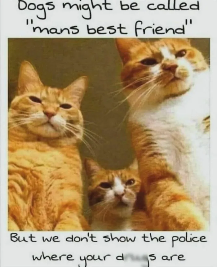 50 Funny And Awkward Animal Posts That Might Make Your Day Much Better