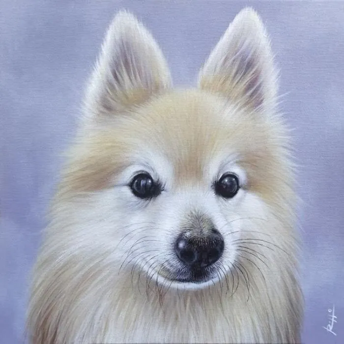 Italian Artist Roberto Rizzo Brings Pets To Life In 26 Realistic Portraits