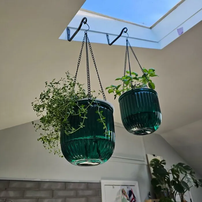 Make Your Slightly Chaotic Furniture Situation Look Totally Curated With Some Gorgeous <a Style="Display:inline;" Href="Https://Www.amazon.com/Melphoe-Watering-Hanging-Planters-Drainage/Dp/B0bc1f3rz1?crid=1os14aibf0ou1&dib=eyj2ijoimsj9.smk6aok_0ftgqkh7c0unwydk_2siezggktlujf0q00fq8whp8vilixscssbcoocvyiylvdsuzuj0x5cjitt0tqseubs1_vvkh2ijwbrgnd3cipjuiyuhrok-Tq0jk7u-Wmift76q___qlxtjyiwzqlg3fnulj2bdpsc0vefjury3oyvmwsi_d4xfiu0qxafoiygfyv0f_u-Yuajt84donq2poprw7uvjumrl0ywyl4x5bns1wycgpnyp8davpqqomhilhi7ad8289nakyrrplhajux2gg4vkynrzwaxi3iw.hlt-Vnl0b_ds60fagooklutysdbqmc_9sgd96bymhro&dib_tag=se&keywords=mkono%2bhanging%2bwall%2bplanter&qid=1726132542&sprefix=carpet%2bcleanering%2caps%2c944&sr=8-4-Spons&sp_csd=d2lkz2v0tmftzt1zcf9hdgy&th=1&linkcode=ll1&tag=bpantelope-20&linkid=83f9345d758b82c3466e61995322b40e&language=en_us&ref_=as_li_ss_tl" Target="_blank"><span Style="Font: Inherit; Color: #d74b1f;"> Glass Hanging Planters </Span>