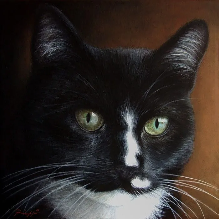 Italian Artist Roberto Rizzo Brings Pets To Life In 26 Realistic Portraits