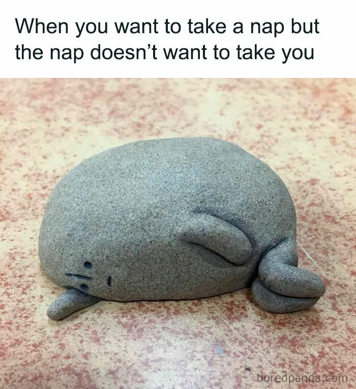 50 Funny Memes If You Need A Good Laugh Today (New Pics)