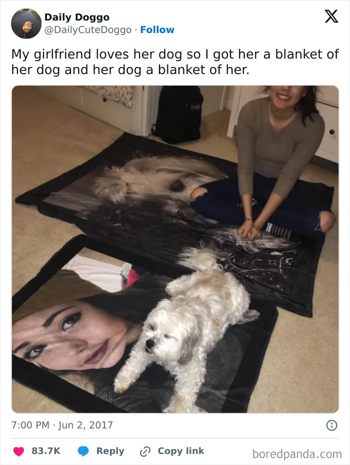 If You Like Dogs More Than People, You May Enjoy These 50 Heartwarming Memes
