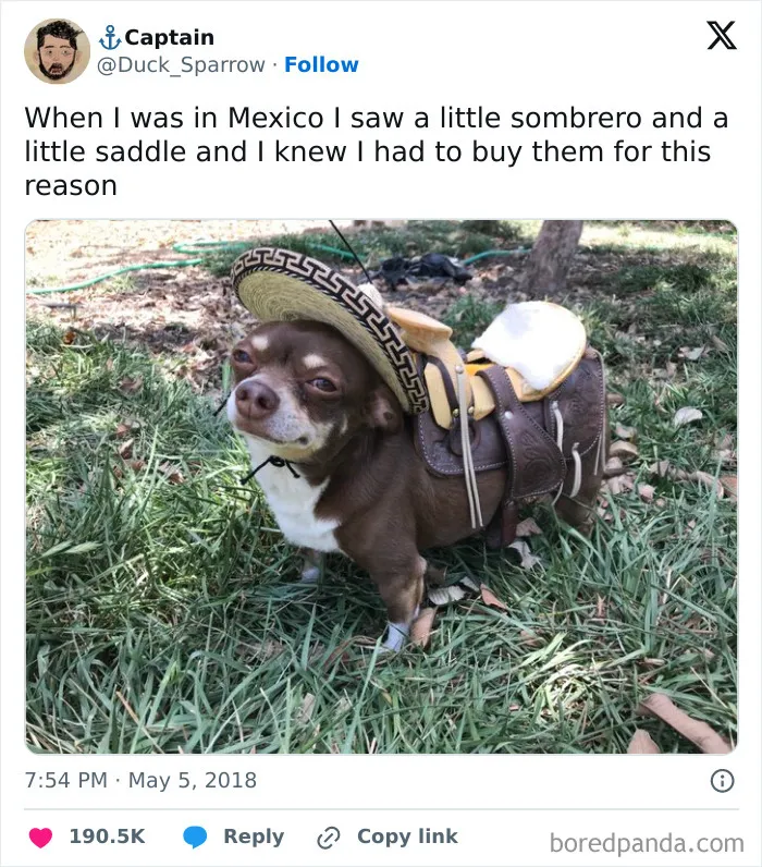 Laughing In Spanish: 50 Of The Funniest Mexican Memes
