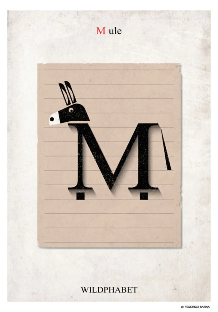 Alphabet Reimagined By This Artist Into The Animal Kingdom Through Play And Imagination (26 Pics)