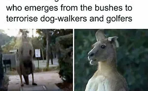 Explore The Land Of ‘Nope’: 50 Surprising Posts Shared By This Online Community (New Pics)