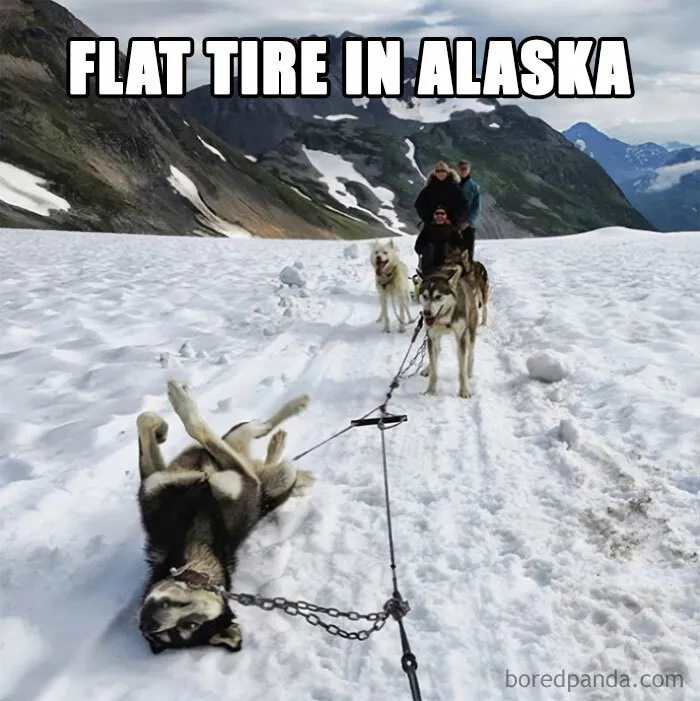 50 Funny “Unappreciated Puns” That Are So Bad, They Are Good (New Pics)