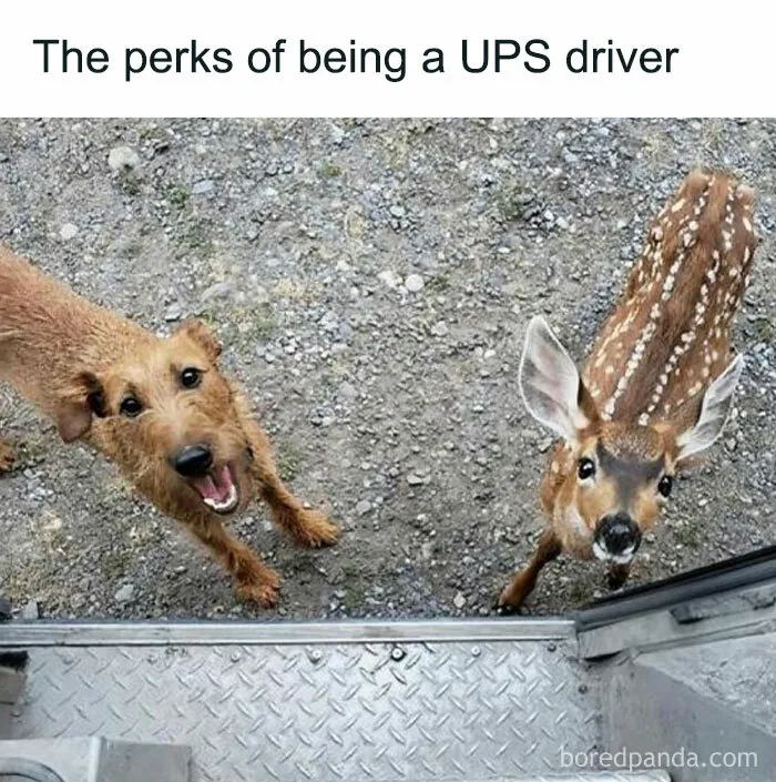 Humorous Memes For When You Need A Short Break From This Thing Called Life (50 Pics)