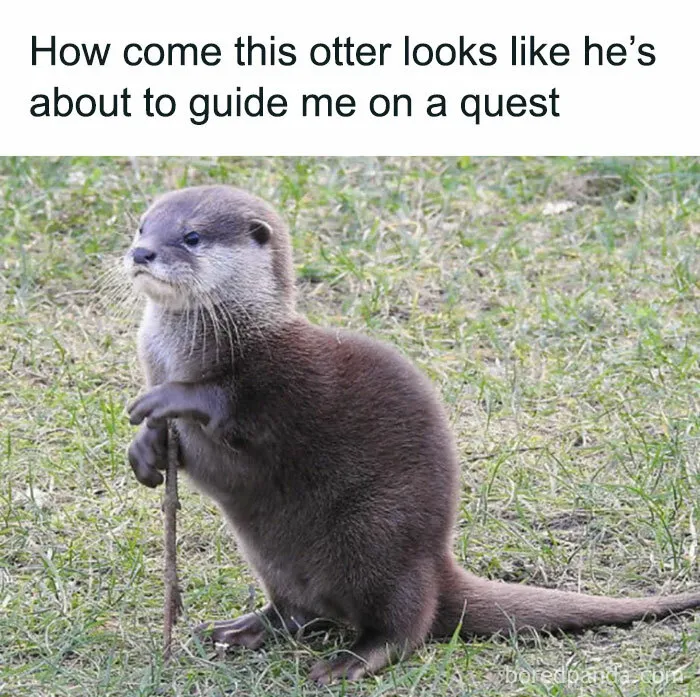 Humorous Memes For When You Need A Short Break From This Thing Called Life (50 Pics)