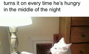 Humorous Memes For When You Need A Short Break From This Thing Called Life (50 Pics)
