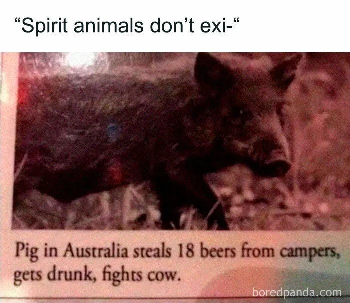 Humorous Memes For When You Need A Short Break From This Thing Called Life (50 Pics)