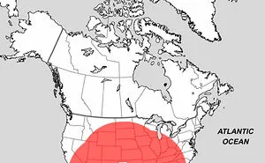 30 Interesting Facts About The World Represented In Unconventional Maps