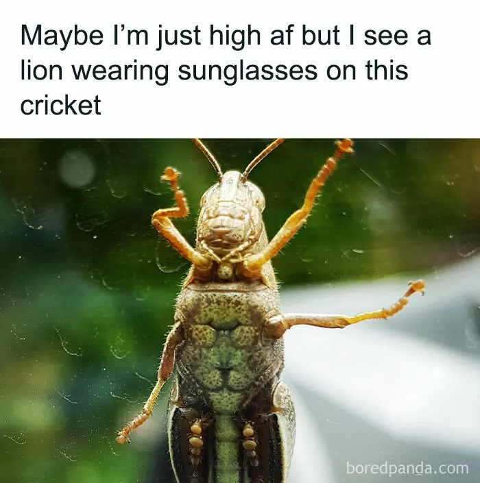 Humorous Memes For When You Need A Short Break From This Thing Called Life (50 Pics)