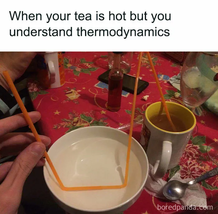 Creative science meme showing an inventive straw setup to cool down hot tea, demonstrating thermodynamics humor.