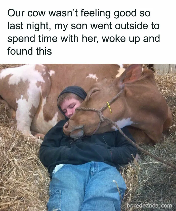 50 Funny And Awkward Animal Posts That Might Make Your Day Much Better
