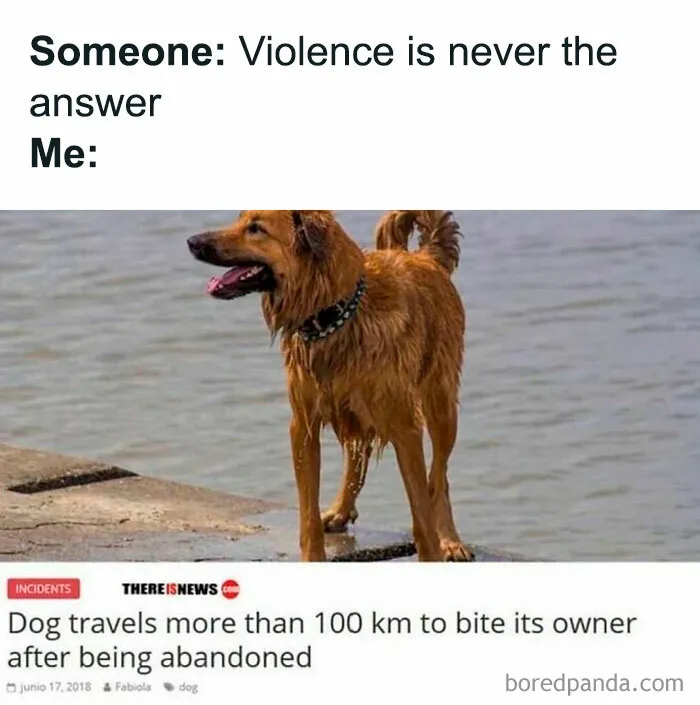 50 Funny And Awkward Animal Posts That Might Make Your Day Much Better