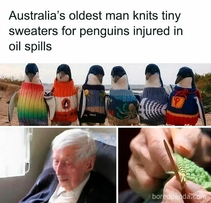 50 Funny And Awkward Animal Posts That Might Make Your Day Much Better