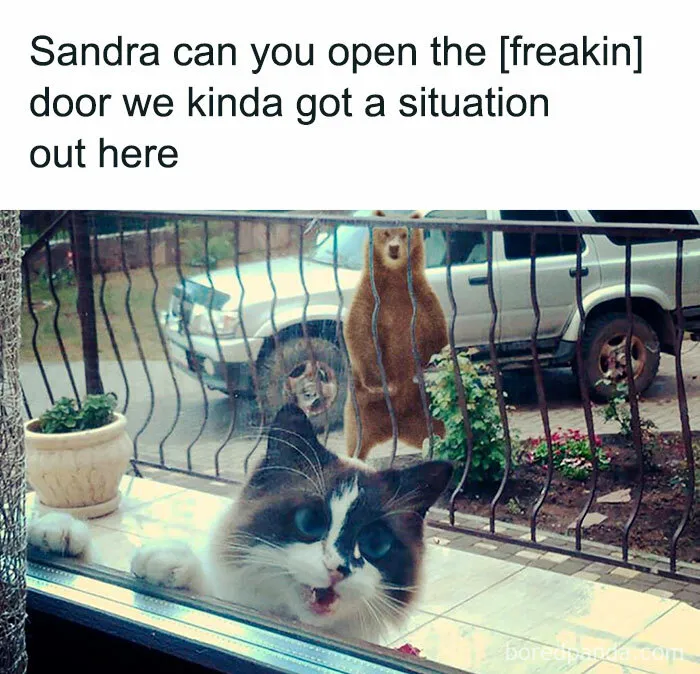 50 Funny And Awkward Animal Posts That Might Make Your Day Much Better