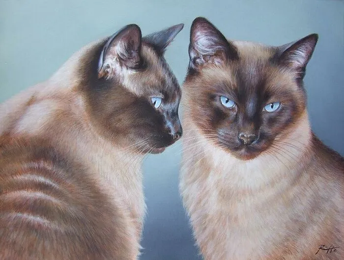 Italian Artist Roberto Rizzo Brings Pets To Life In 26 Realistic Portraits