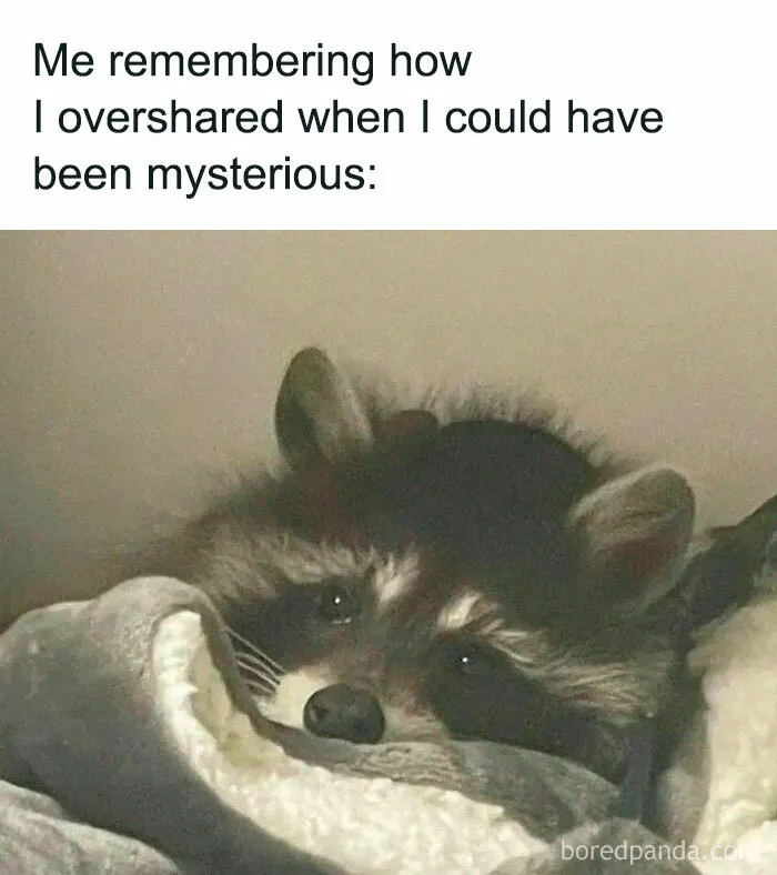 Raccoons Have Never Been More Relatable Than They Are In These 30 Dark Humor Memes