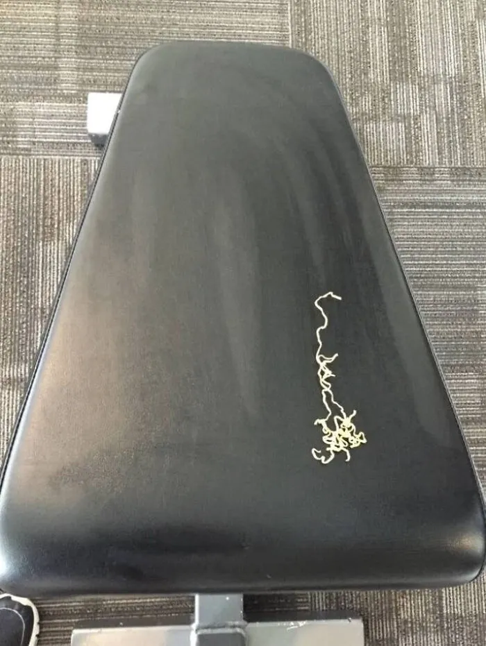 Someone Dropped (And Left) Noodles On This Piece Of Gym Equipment!
