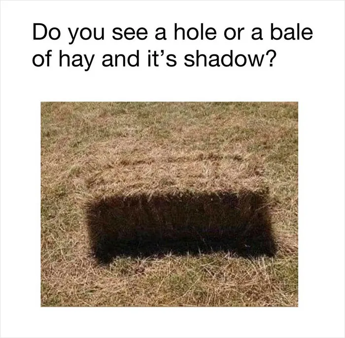 30 Images Right From This Optical Illusion Page That Will Make You Think Twice About The Answer